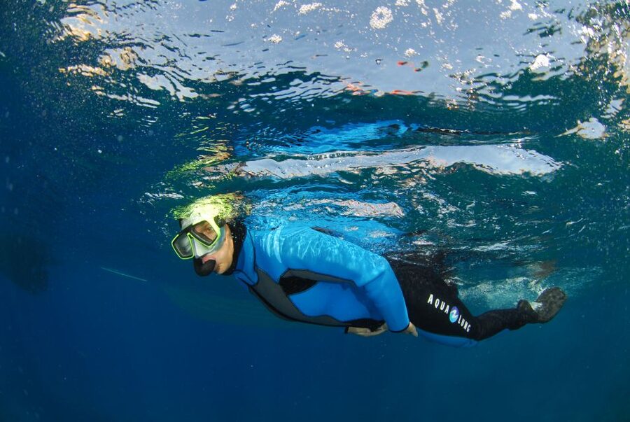 Calvi: Pointe de la Revellata Snorkeling Boat Tour - The value of the $41 price