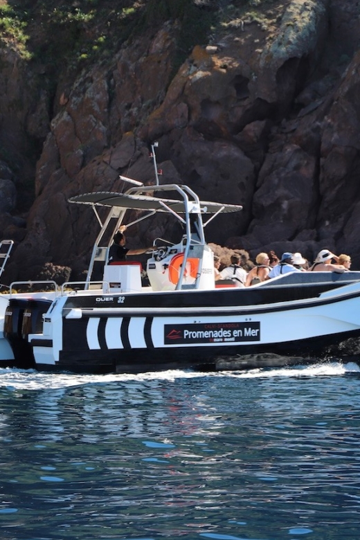 Calvi: Scandola and Girolata 6-Hour Boat Tour - Leaving Calvi aboard the Santa Regina
