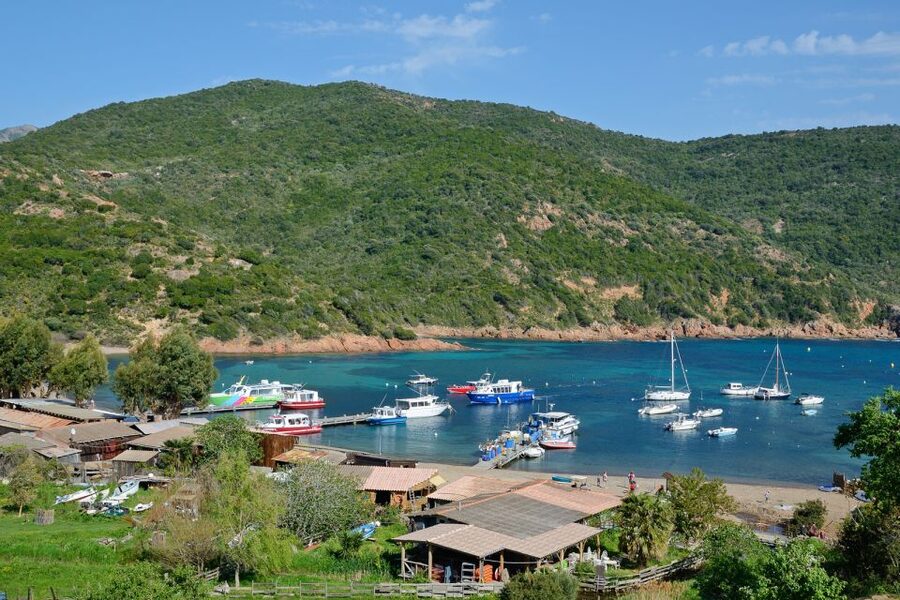 Calvi: Scandola and Girolata 6-Hour Boat Tour - One hour along Corsica’s west coast