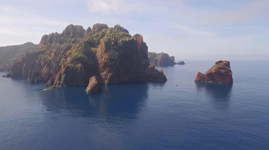 Calvi: Scandola and Piana Guided Boat Tour - Key points to know before you book