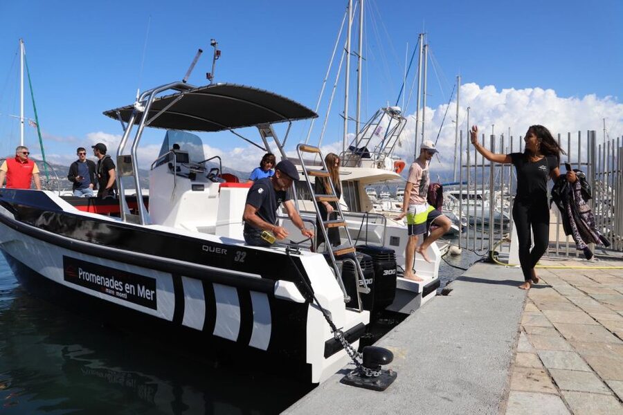 Calvi: Scandola and Piana Guided Boat Tour - The swimming stop in clear Corsican water