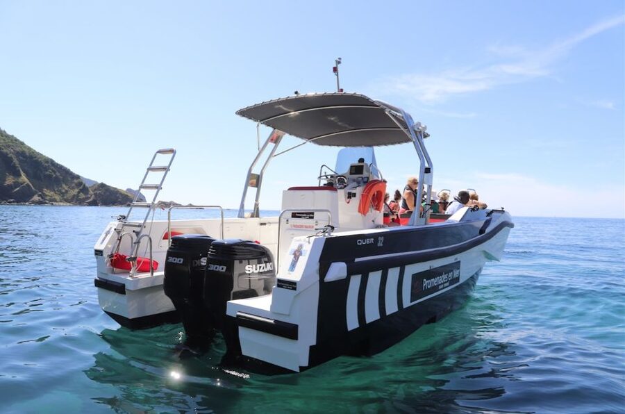 Calvi: Scandola and Piana Guided Boat Tour - Is $135 a fair price?