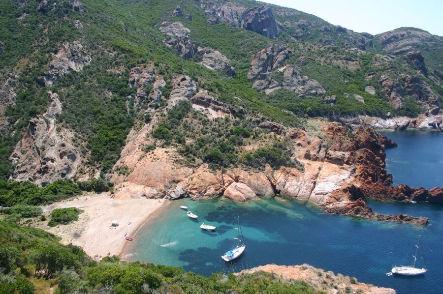 Calvi to Scandola: 4-Hour Boat Tour - What makes this Calvi boat trip worth considering