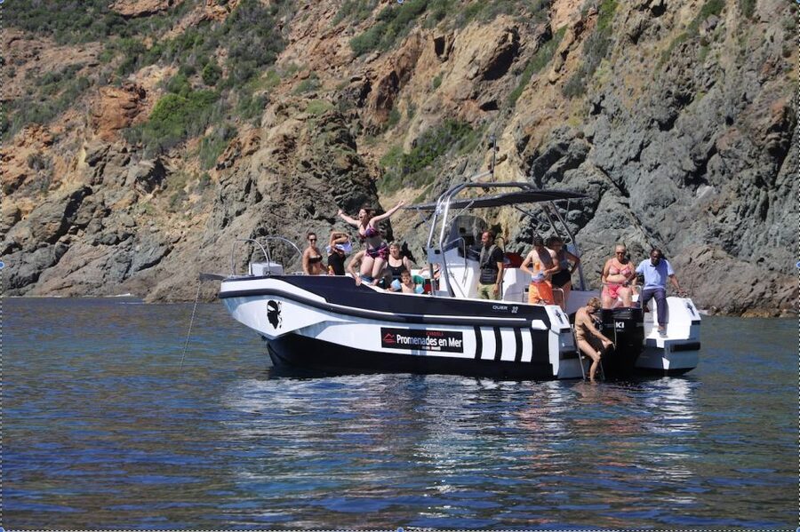 Calvi to Scandola: 4-Hour Boat Tour - A Corsican aperitif at sea