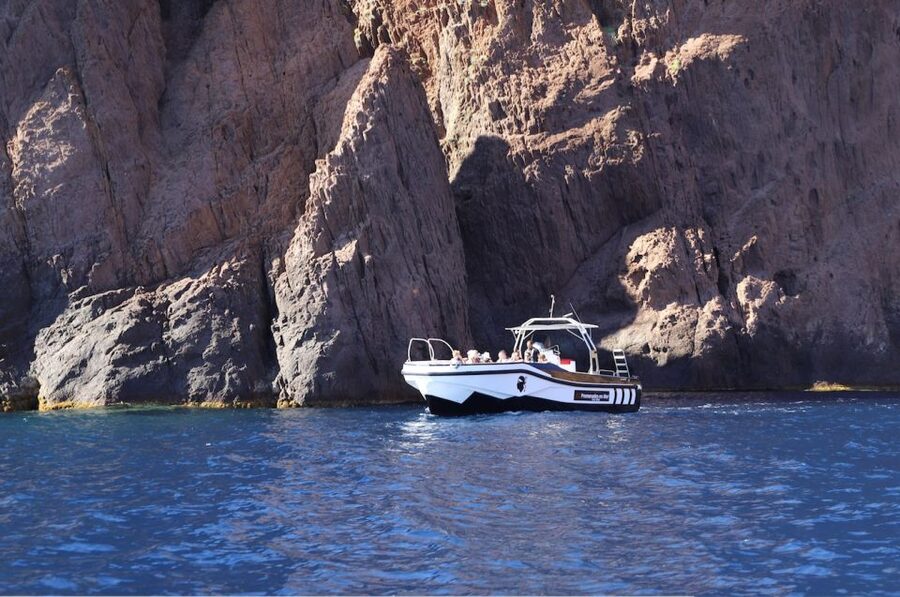 Calvi to Scandola: 4-Hour Boat Tour - Who should book this boat tour?