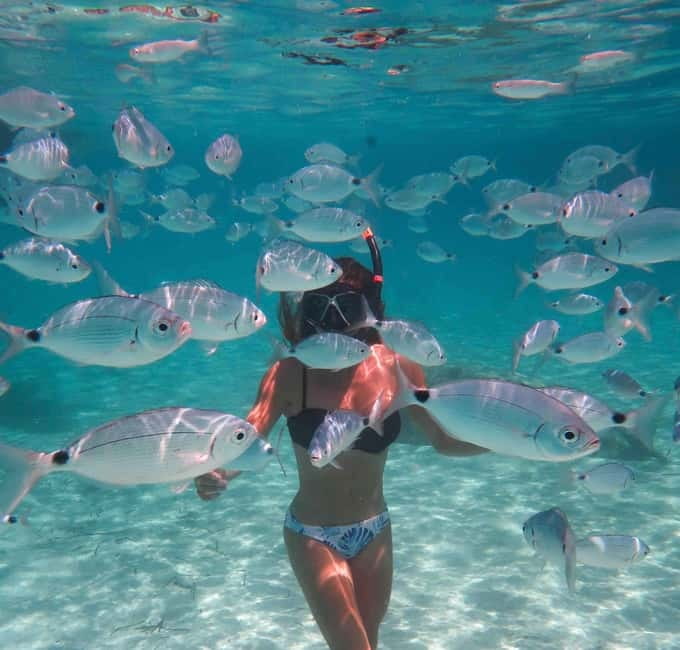 Calvi: Underwater journey at the edge of a natural reserve - Key points to know before booking