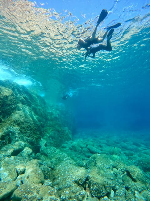 Calvi: Underwater journey at the edge of a natural reserve - Should you book it?