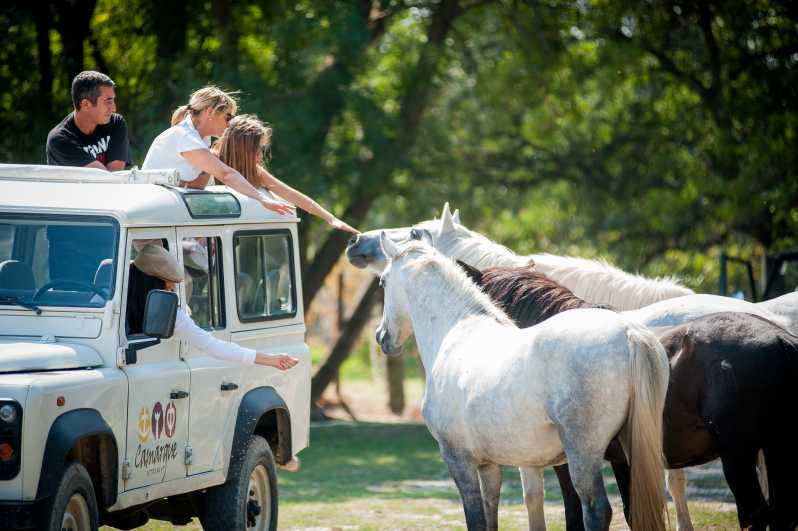 Camargue: Half-Day 4x4 Guided Safari Adventure - Why the Camargue works best from a 4x4