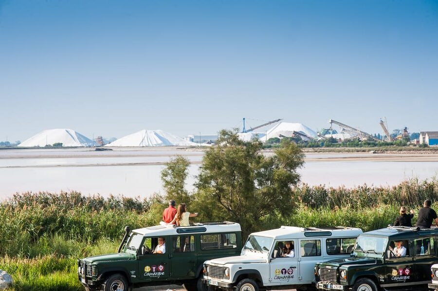 Camargue: Half-Day 4x4 Guided Safari Adventure - Shared or private, and who will enjoy it most