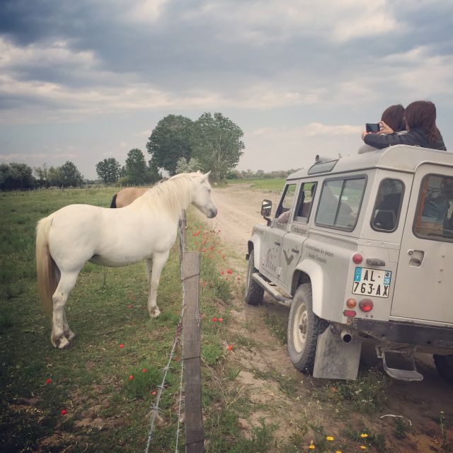 Camargue: Safari from Saintes-Maries-de-la-Mer - Key points to know before you book