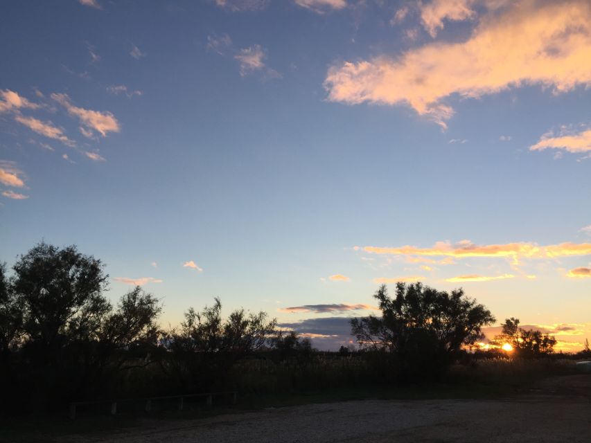 Camargue: Safari from Saintes-Maries-de-la-Mer - Is $58 a fair price?