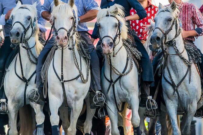 Camargue Small-Group Day Trip from Avignon - Saintes-Maries-de-la-Mer for lunch and sea air