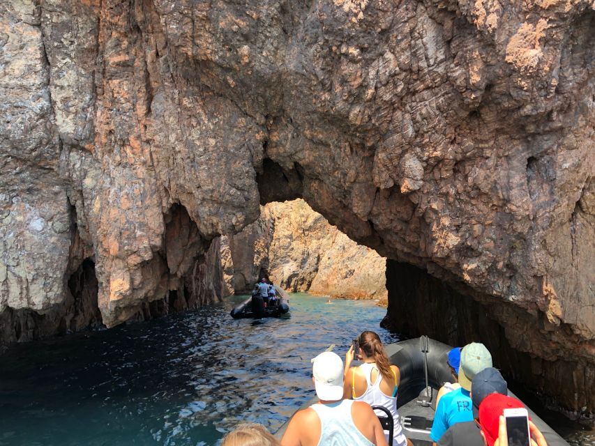 Cannes: 2.5-Hour Esterel Calanques Boat Excursion - Swimming and snorkeling in clear Mediterranean water