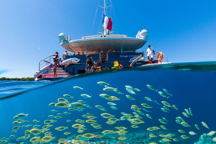 Cannes: Half-Day Catamaran Cruise - From Cannes harbor to Sainte-Marguerite Island