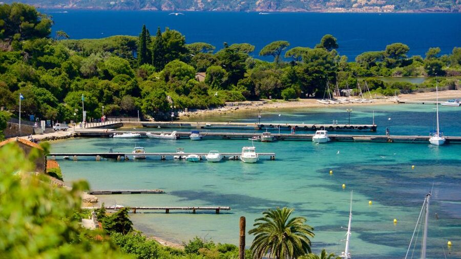 Cannes: Private Boat Trip to Lerins Islands & Cap d'Antibes - Setting out from Camille Rayon Marina