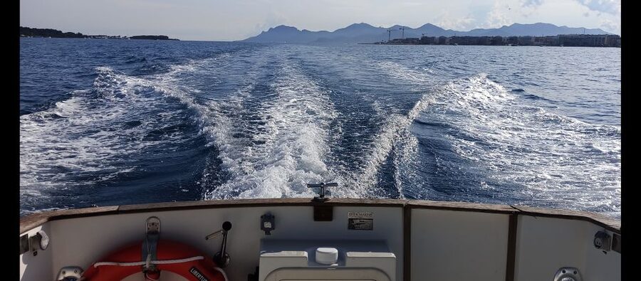 Cannes: Private Boat Trip to Lerins Islands & Cap d'Antibes - Swimming, snorkeling, and paddleboarding