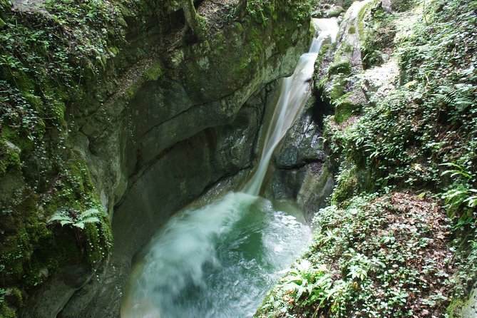 Canyoning discovery 3h in Aix les bains / Chambéry: Ternèze - Price: what you receive for $71.20