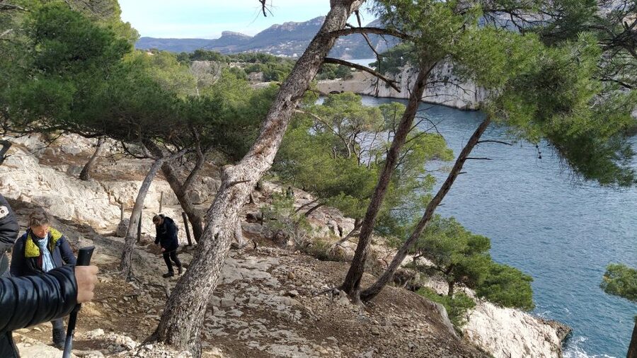 Cassis: 3 Calanques Half-Day Hiking Tour with Swimming - Final verdict: book it if you want views with some effort