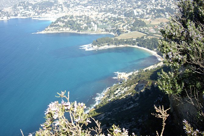 Cassis Half-Day Trip from Aix-en-Provence - The Calanques cruise is the trip’s big choice