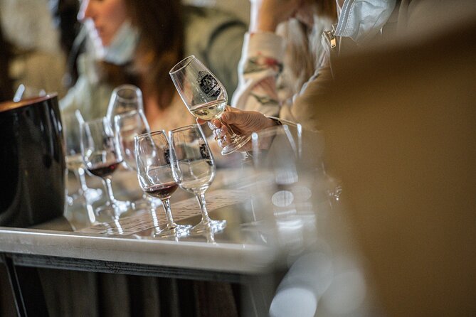 Caves Ambacia, Tour and Wine Tasting in Amboise, Loire Valley - Why the tasting earns its price