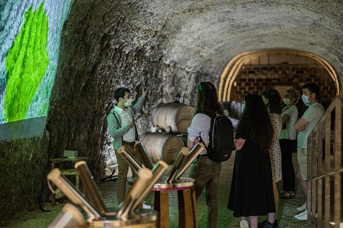 Caves Ambacia, Tour and Wine Tasting in Amboise, Loire Valley - Who will enjoy this most?