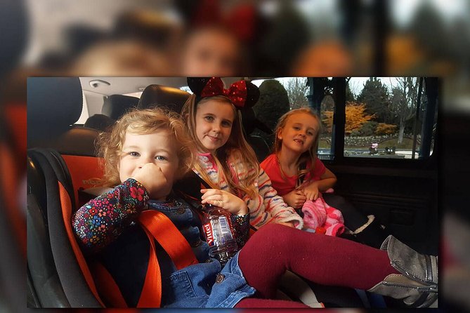 CDG - Euro Disney - CDG Two Way Private Shuttle Transfer - From Charles de Gaulle arrivals to Disneyland Paris