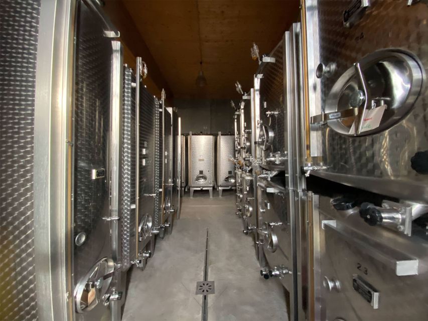 Cellar visit and Alsace wine tasting with a feminine touch - Seven generations, with Muriel shaping the next chapter