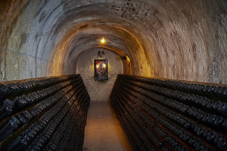 Champagne: Canard-Duchêne Champagne House Tour - Walking among the Champagne vines