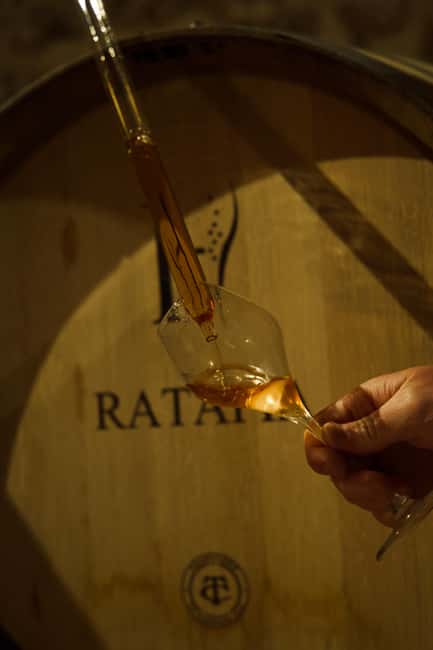 Champagne Cellar Experience: Explore our historic cellars - Why this small Champagne house is worth your time