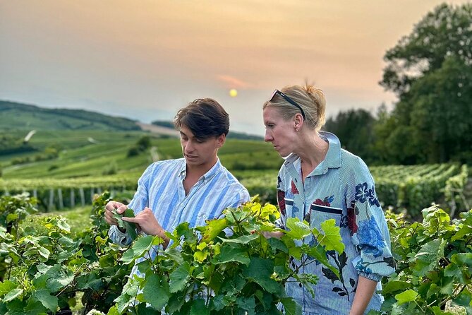 Champagne Day Trip from Paris with 8 Tastings & Lunch - Key points to know before booking