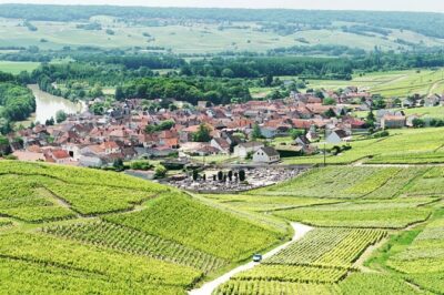 Champagne Day Trip with 6 Tastings, Reims and Winery from Paris
