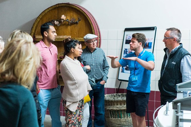 Champagne Day Trip with 6 Tastings, Reims and Winery from Paris - Champagne DOMI and the personal side of production