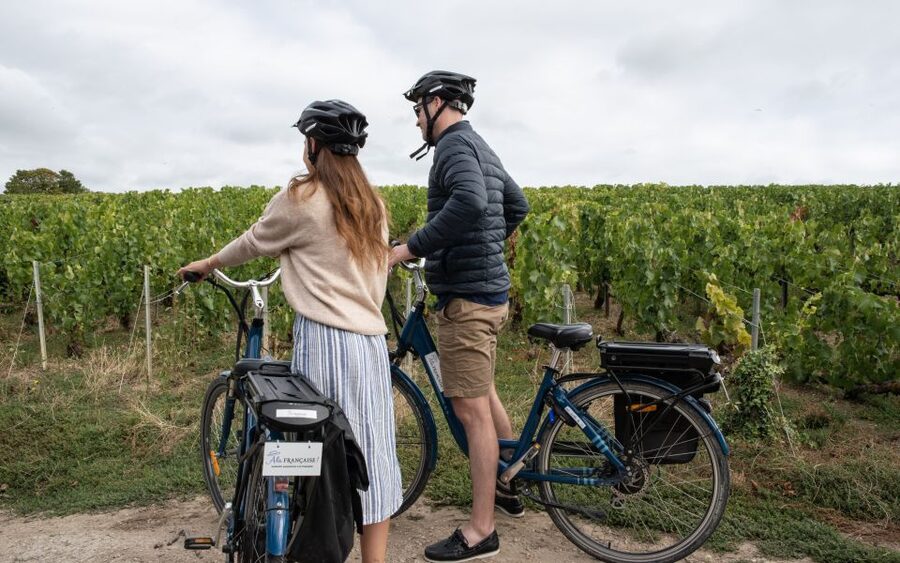 Champagne: E-Bike Champagne Day Tour with Tastings and Lunch - Who should book this tour
