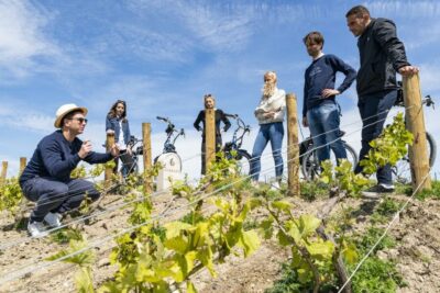 E-Bike Champagne Day Tour with Tastings and Lunch