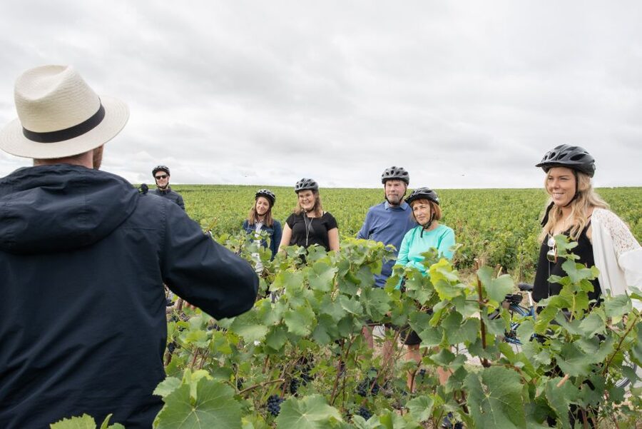 Champagne: E-Bike Champagne Day Tour with Tastings and Lunch - A regional lunch with Champagne at the table