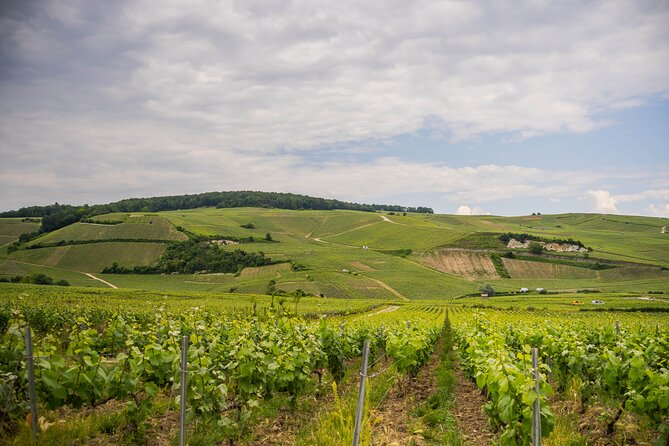 Champagne experience with a vintage van from Epernay - 3 hours - What the guides add to the experience