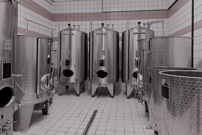 Champagne Munoz Bruneau : Half Day Visit and Tasting - Why this half-day works so well in Champagne