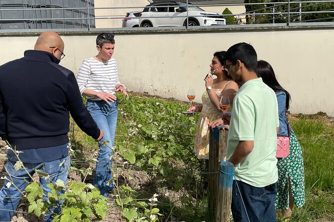 Champagne Munoz Bruneau : Half Day Visit and Tasting - Understanding Champagne from grape to bottle