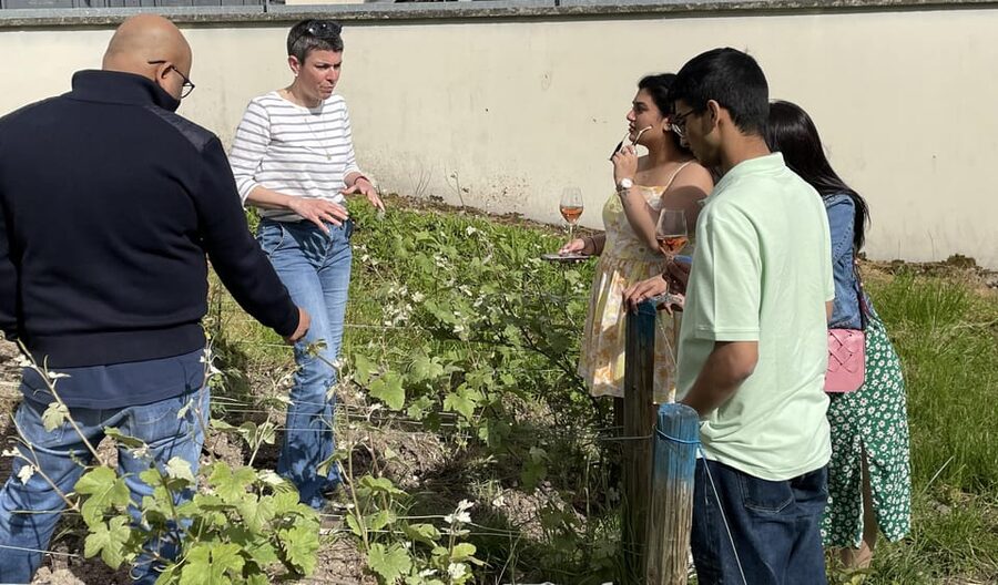 Champagne Munoz Bruneau : Half Day Visit and Tasting - Three Champagnes and a relaxed tasting