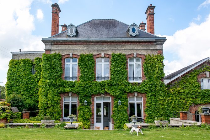 Champagne Tasting Class and Lunch near Epernay - A Champagne lesson that does not feel like school