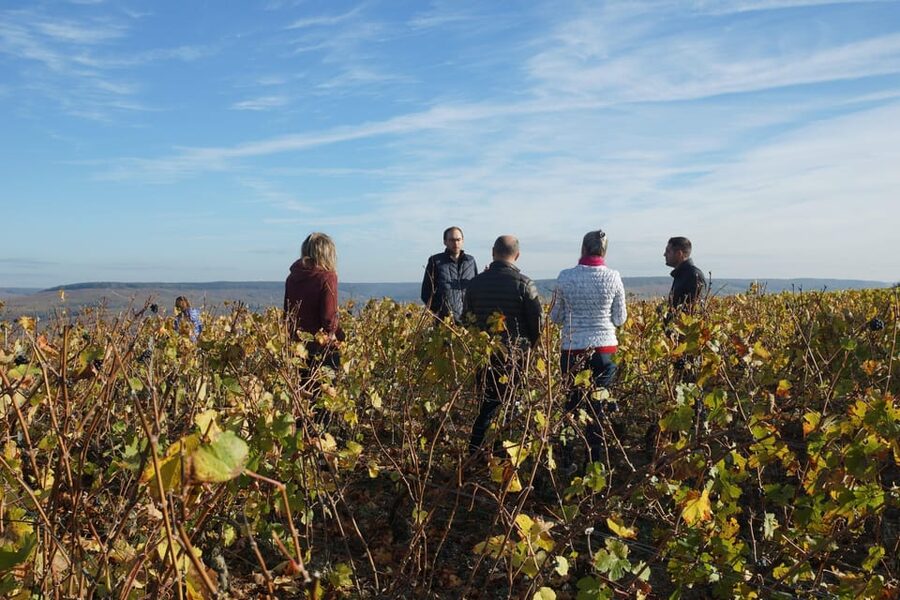 Champagne Vineyard Experience: Delve into the terroir - Booking, timing, and cancellation