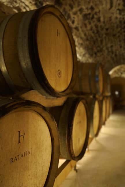 Champagne Vineyard Experience: Delve into the terroir - Descending into the historic cellar