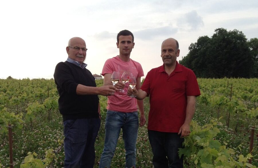 Château du Bois-Huaut: Cellar Tour and Wine Tasting Class - Starting with the vineyard walk