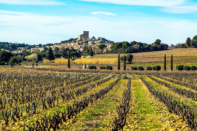Châteauneuf Du Pape intensive vineyard & fine wine experience - Why Châteauneuf-du-Pape works so well as a day trip