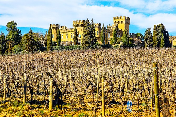 Châteauneuf Du Pape intensive vineyard & fine wine experience - What the guides add to the wine
