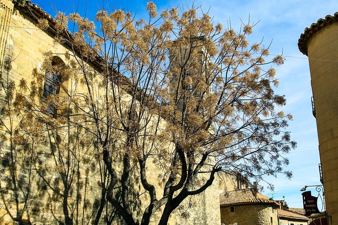 Châteauneuf Du Pape intensive vineyard & fine wine experience - Is the $660.77 price fair?