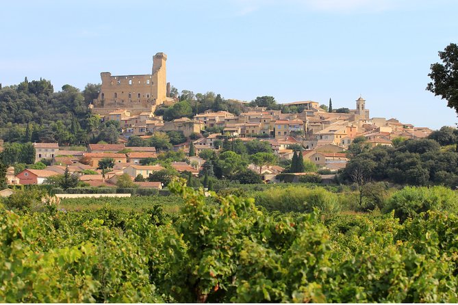 Châteauneuf du Pape Wine Day Tasting Tour including Lunch from Avignon - Is the $193.57 price good value?