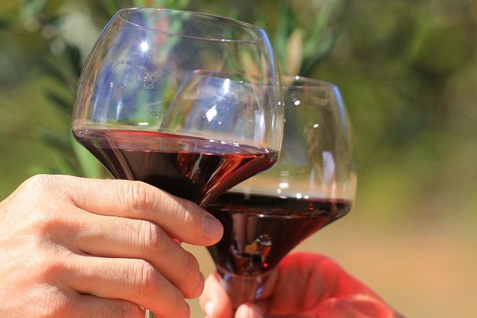 Châteauneuf du Pape Wine Day Tasting Tour including Lunch from Avignon - Starting from Avignon at 9 a.m.