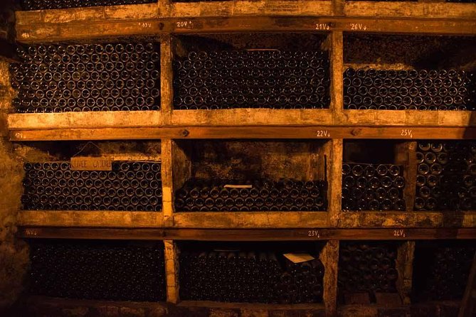 Chateauneuf du Pape wine tour - Why this tour works for serious and curious wine drinkers