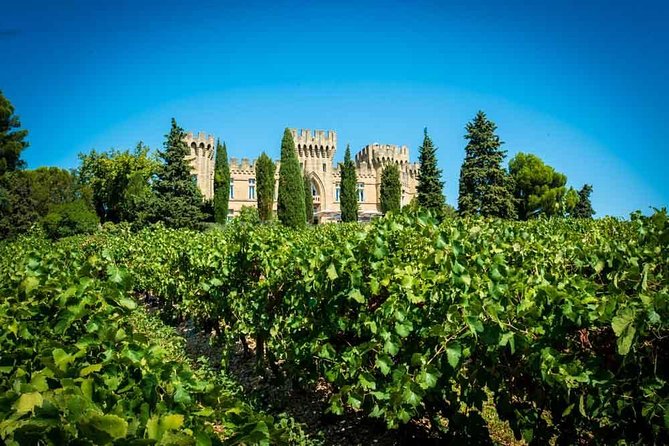 Chateauneuf du Pape wine tour - 9:30 am departure from Avignon